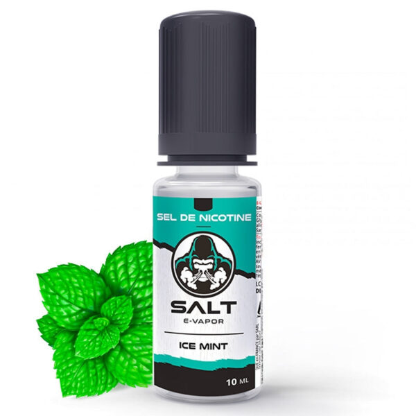 Ice Mint Salt E-Vapor ( Menthe glaciale ICE )